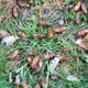 Illustration for article titled Just Like Us, Billions of Cicadas Are Ready to Emerge for Giant Bug Orgy